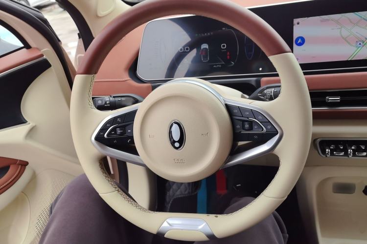 Used ORA Good Cat 2022 Morandi Edition 400km Standard Range Luxury Version Lithium Iron Phosphate