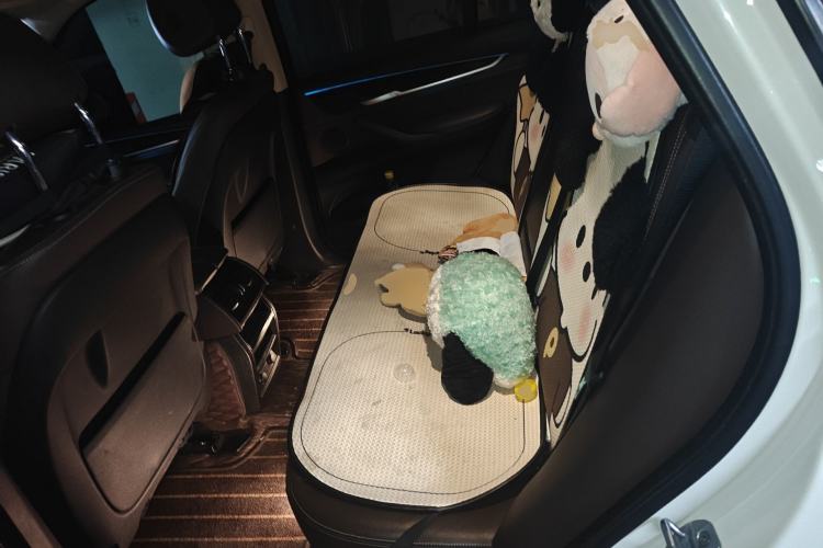 Used BMW X5 2017 xDrive28i Left Rear Seat