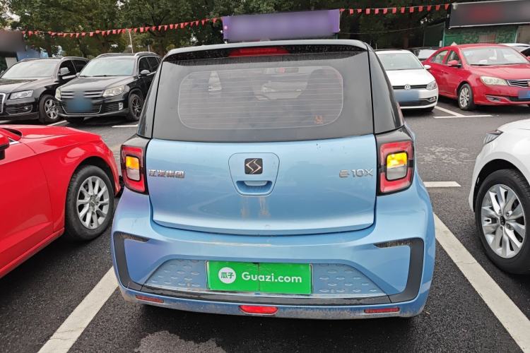 Used SOL E10X 2022 Flower Fairy Design Four-Leaf Clover