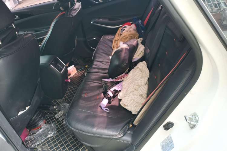 Used CHANGAN Ruicheng CC 2021 Blue Whale Edition 1.5T DCT Luxury Model
