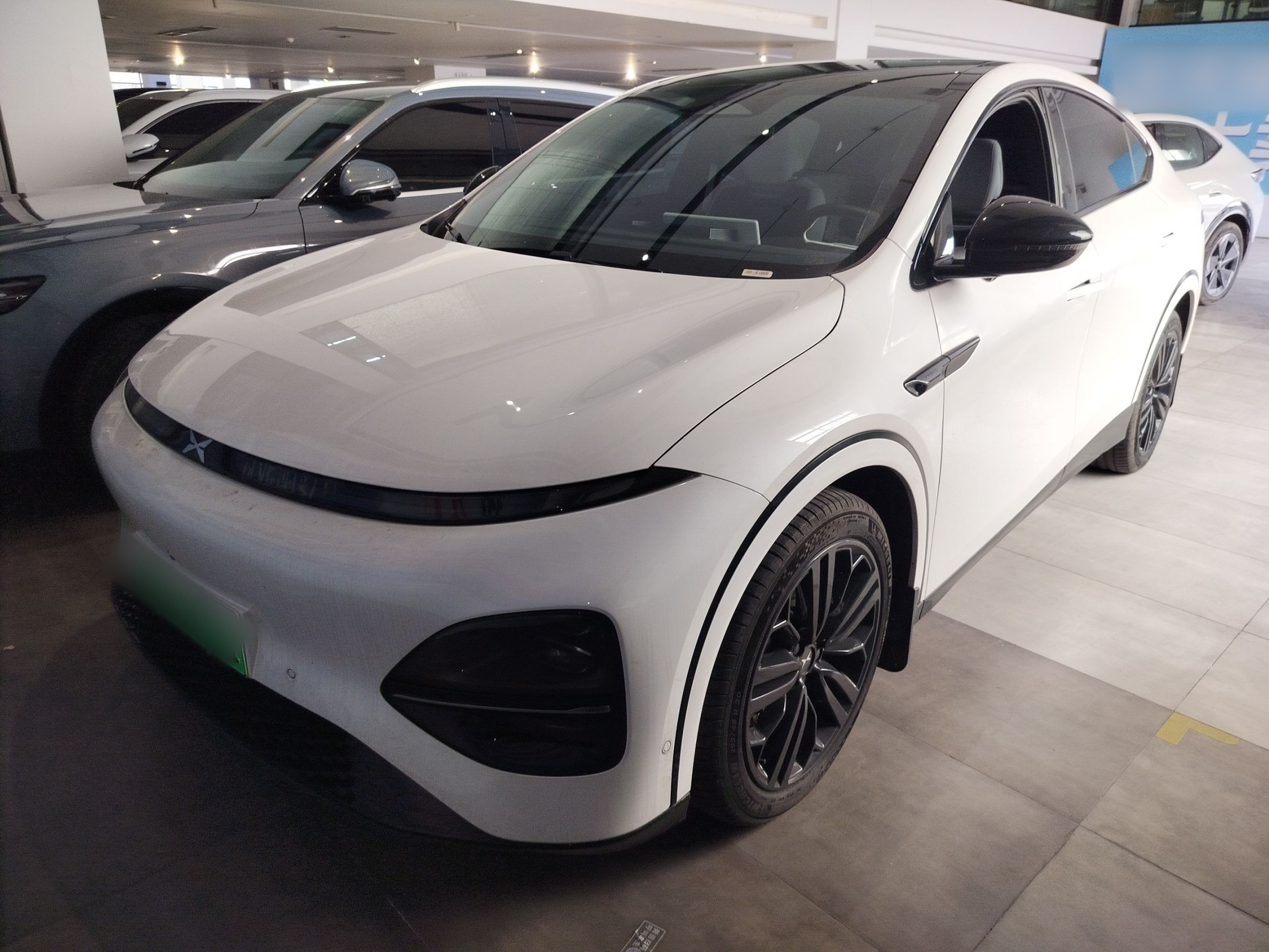 Parte inferior delantera