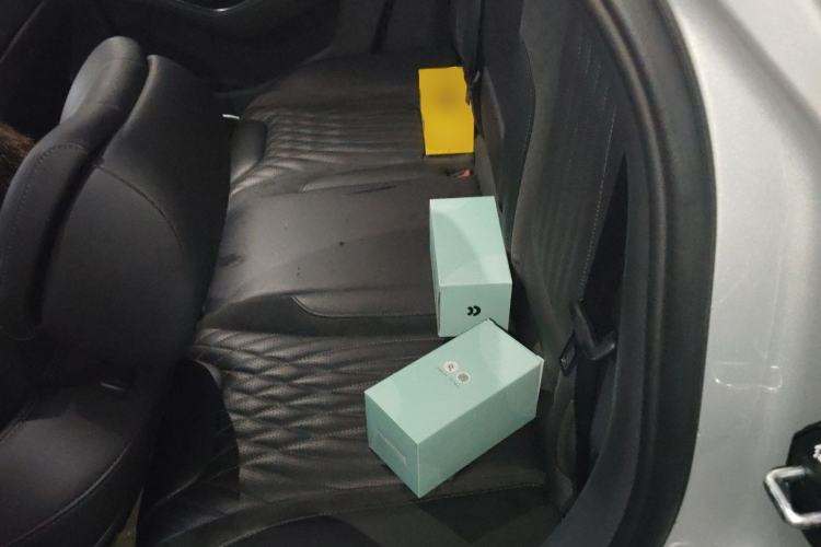 Used Hongqi HS5 2023 2.0T Qixiang Pro Edition Left Rear Seat
