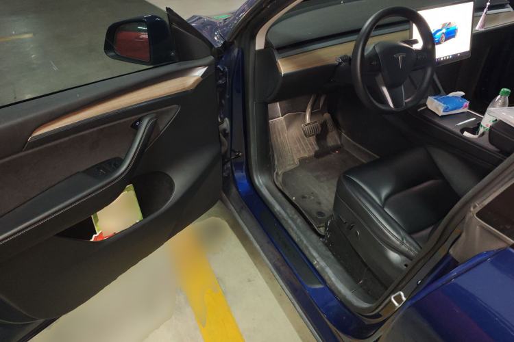 Used Tesla Model Y 2022 Long-Range All-Wheel-Drive Version