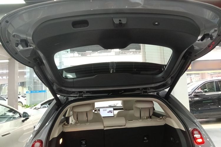 Used firefly 2025 Illuminated Edition
