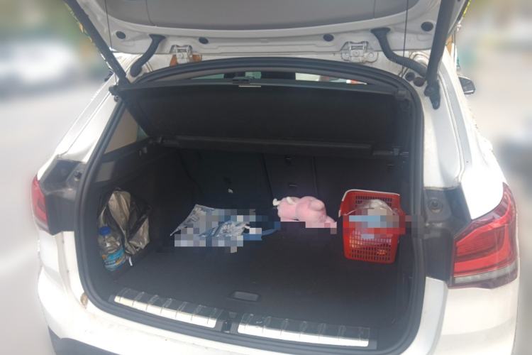 Used BMW X1 2021 sDrive20Li Premium Edition
