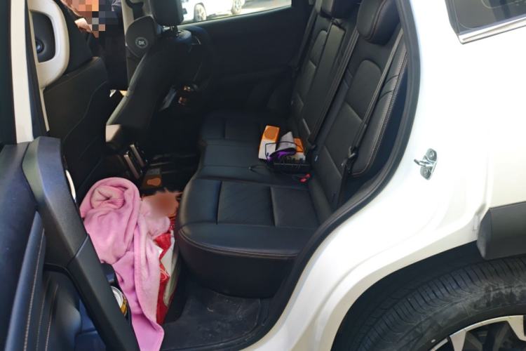 Used Haval DARGO 2024 2.0T DCT Chinese Rural Dog Edition