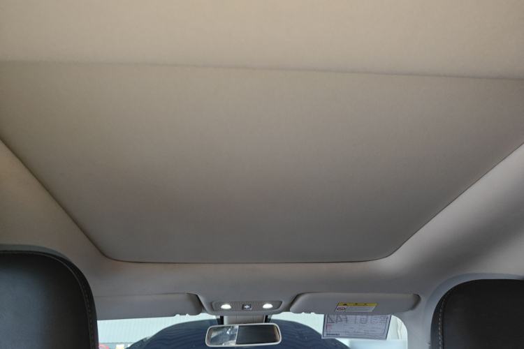 Used Leapmotor T03 2022 Star Diamond Edition Headliner