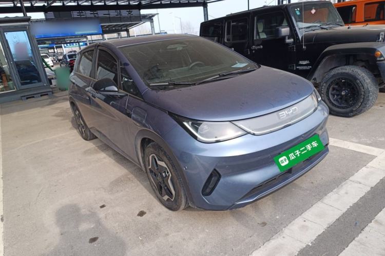 Used BYD Dolphin 2025 Smart Drive Version 420 km Freedom Edition
