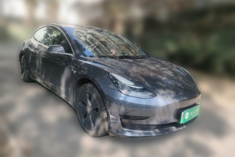Used Tesla Model 3 2019 Standard Range Rear-Drive Upgraded Version
