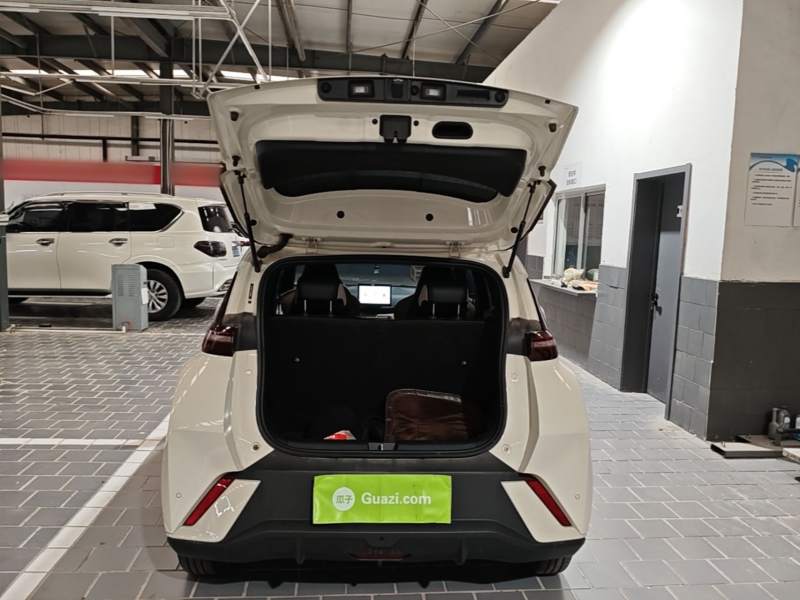 Used BYD Seagull 2025 305km Active Version — 18