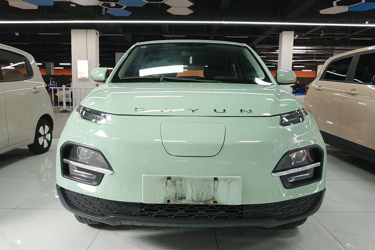 Used Dayun Yuehu 2022 30.66 kWh Two-Wheel Drive Standard Version
