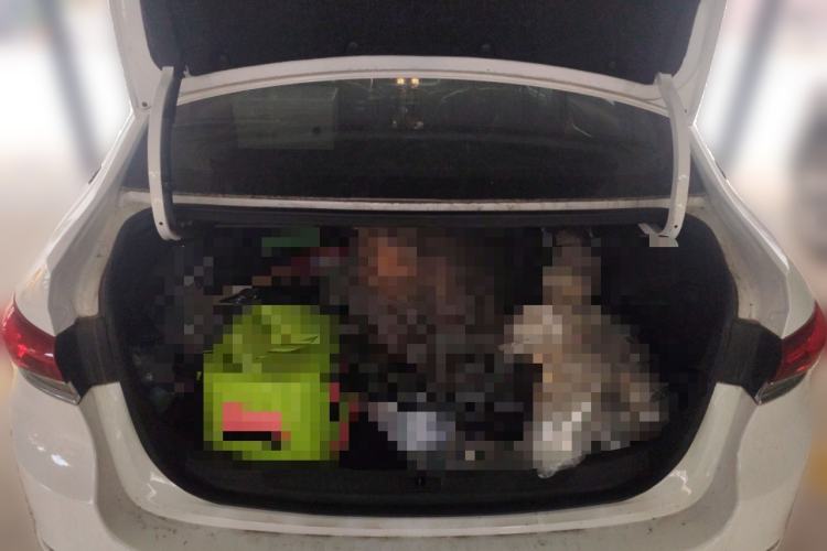 Used Buick GT 2021 Revised Version Flagship 1.5L Automatic Elite Edition