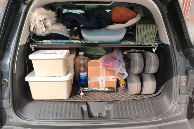 Used Haval DARGO 2024 2.0T DCT Chinese Rural Dog Edition