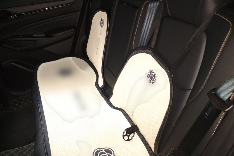 Used CHANGAN OSHAN X5 PLUS 2023 1.5T DCT Excellence Edition Left Rear Seat