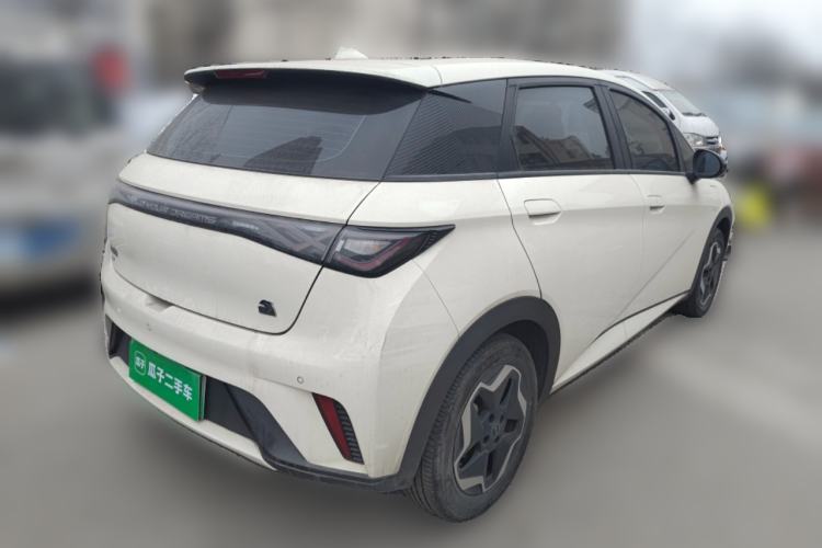 Used BYD Dolphin 2021 405 km Free Version