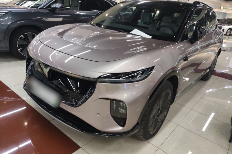 Used VOYAH COURAGE 2024 Four-Wheel Drive Global Edition