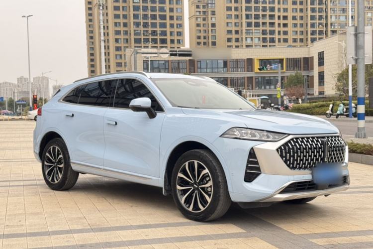 Used Wey Mocha 2021 2.0T Two-Wheel-Drive Premium Edition
