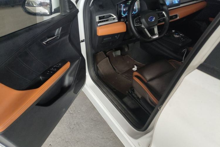 Used BYD e2 2021 Luxury Model