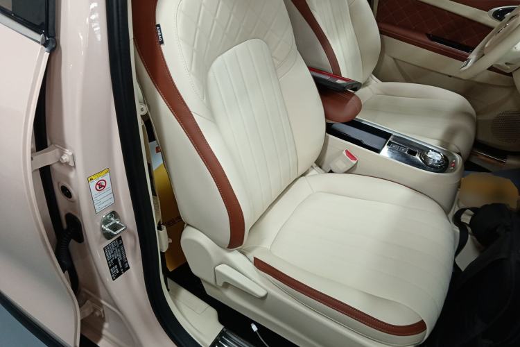 Used ORA Good Cat 2021 400km Standard Range Athena Edition Lithium-Ion Battery
