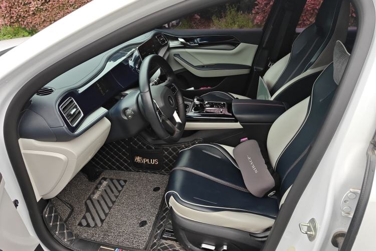 Used BYD Qin PLUS 2021 DM-i 55KM Flagship Model Left Front Seat