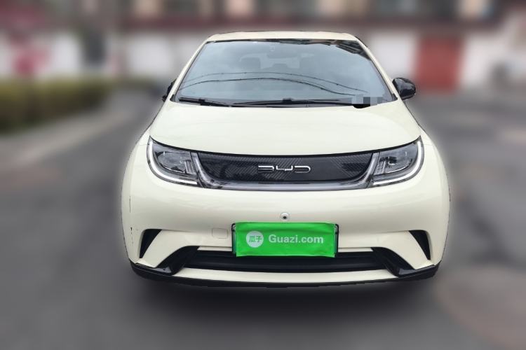 Used BYD Dolphin 2023 420 km Free Version