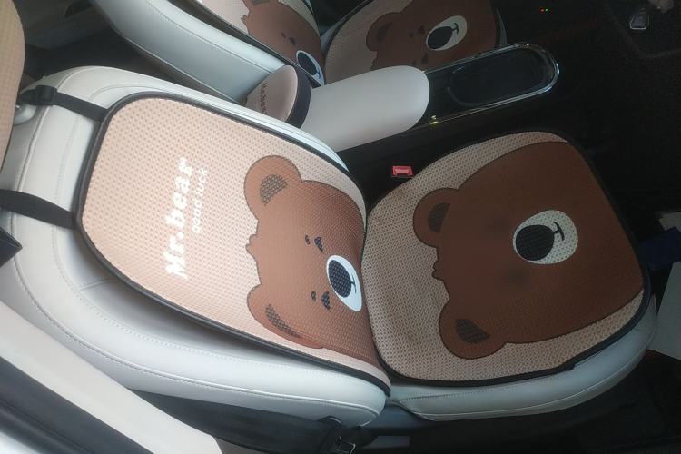 Used JAC Yiwei 3 2023 405km Lite