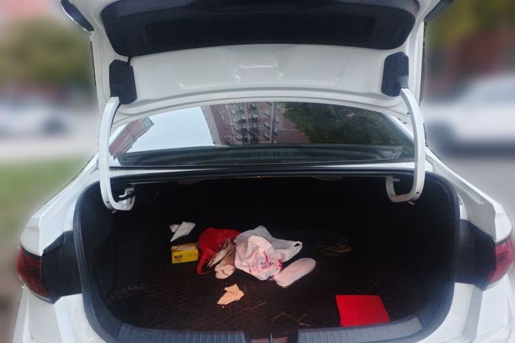 Used Volkswagen Sagitar 2024 300TSI DSG Excellence Edition