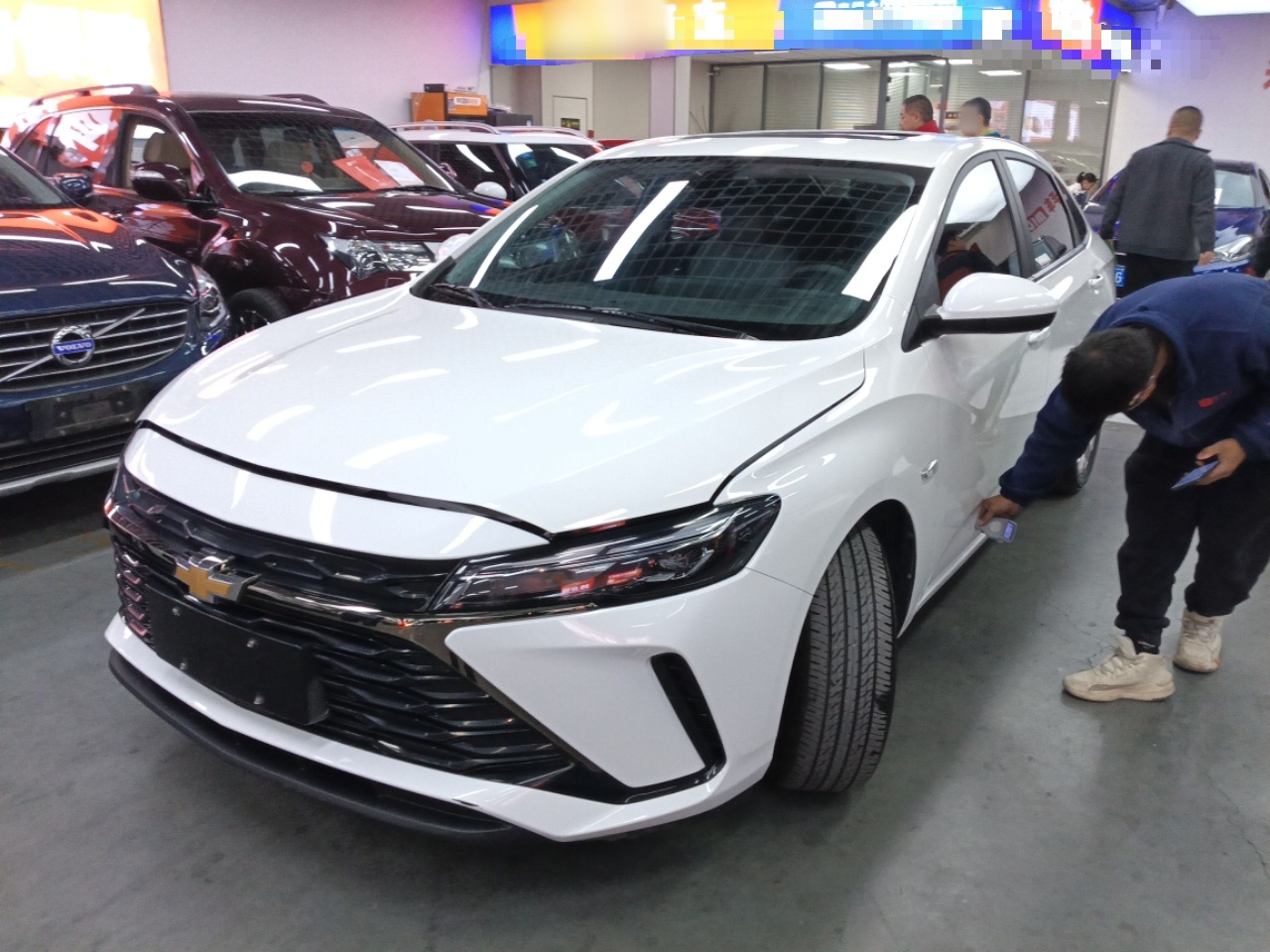 تحت مقدمة السيارة