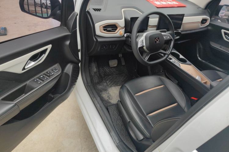 Used SOL E10X 2022 Flower Fairy Design Four-Leaf Clover
