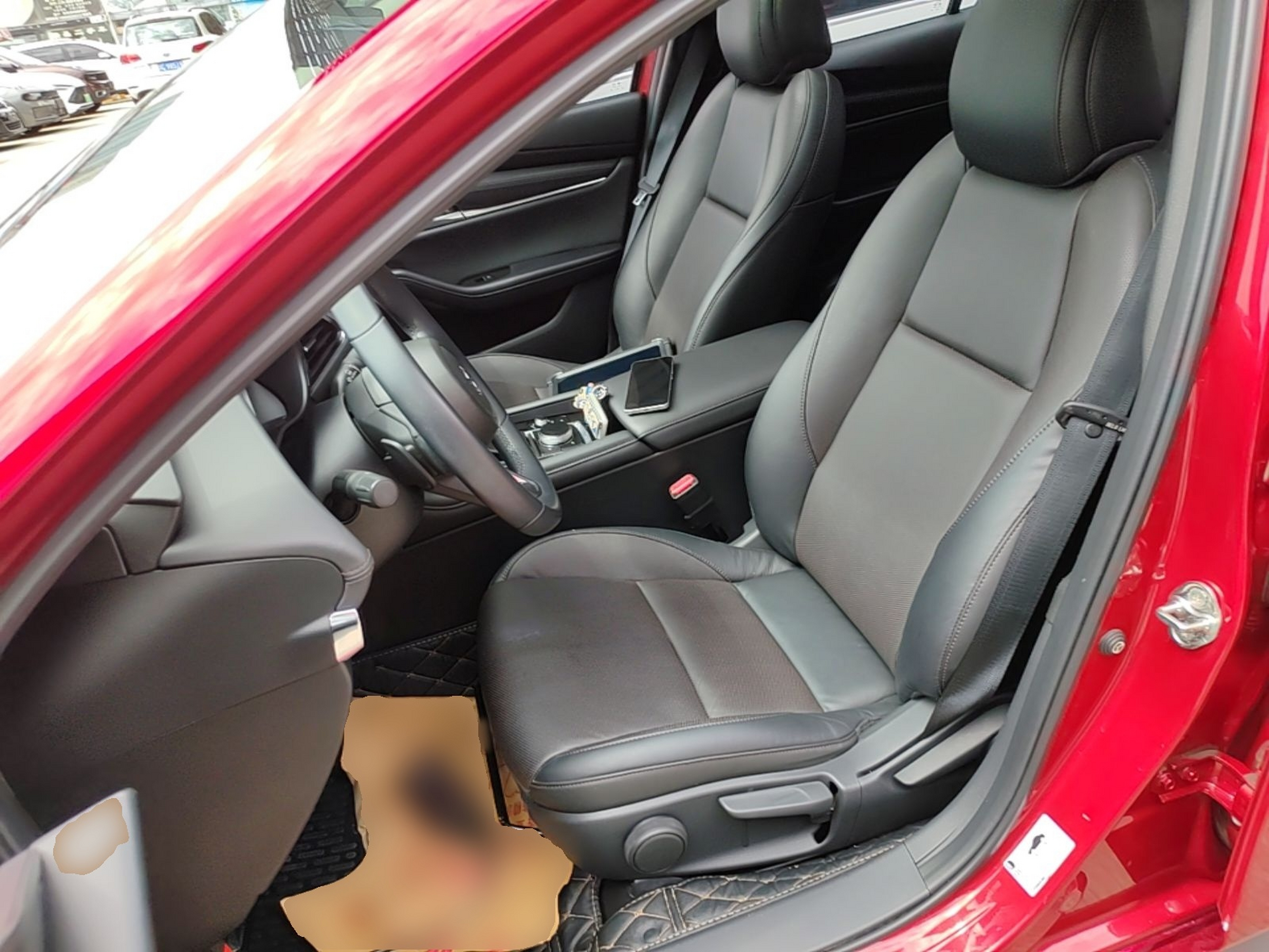 Interior delantero