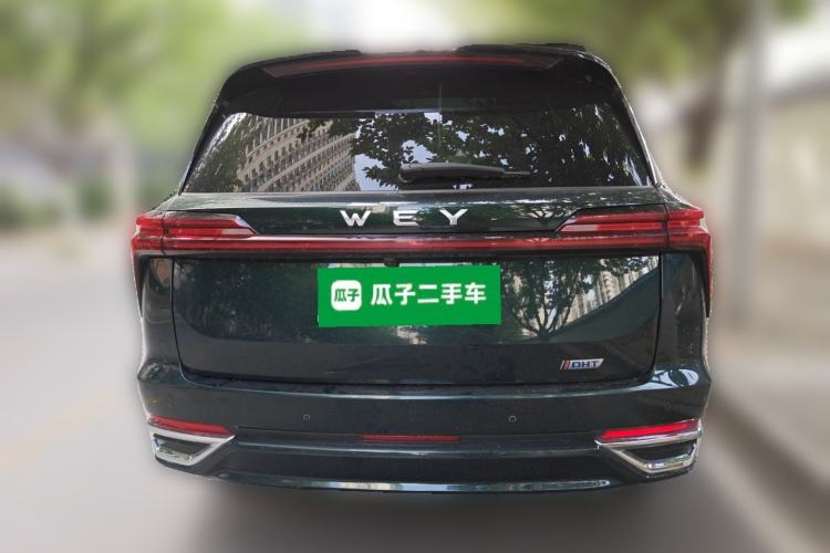 Used Wey Lanshan 2023 Four-Wheel Drive Ultra-Long Range Version