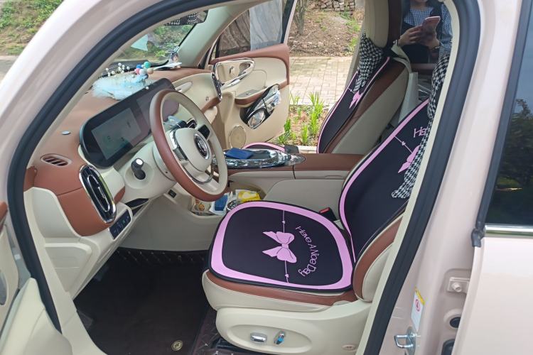 Used ORA Ballet Cat 2023 401 km Luxury Version Left Front Seat