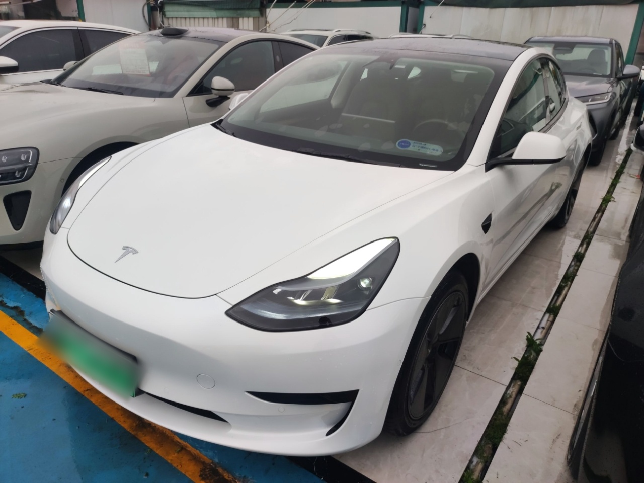 تحت مقدمة السيارة