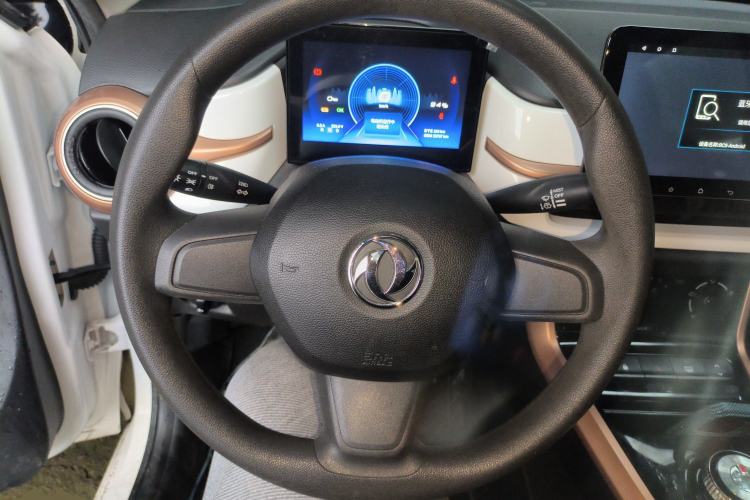 Used Dongfeng NAMMI EX1 2023 PRO Light Wind Edition Lightning Model