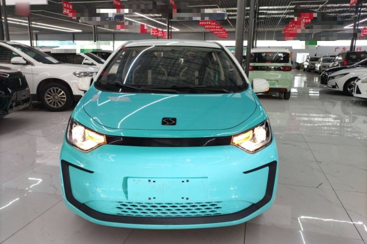 Used SOL E10X 2022 Flower Fairy Style Baby's Breath
