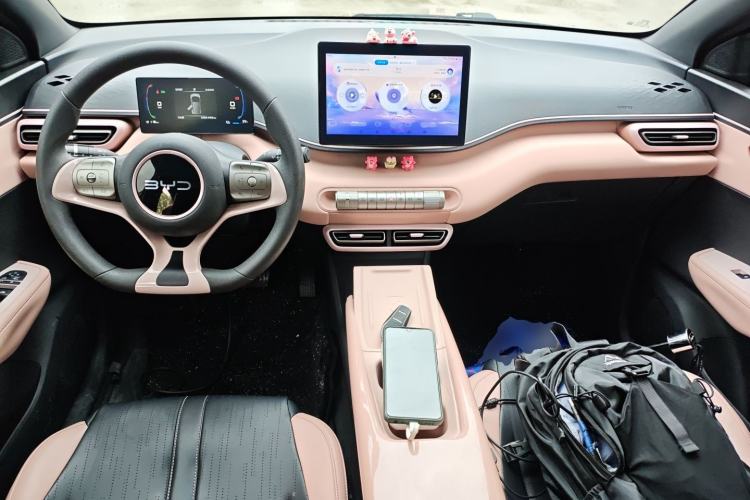 Used BYD Seagull 2024 Honor Edition 305km Dynamic Version Center Console
