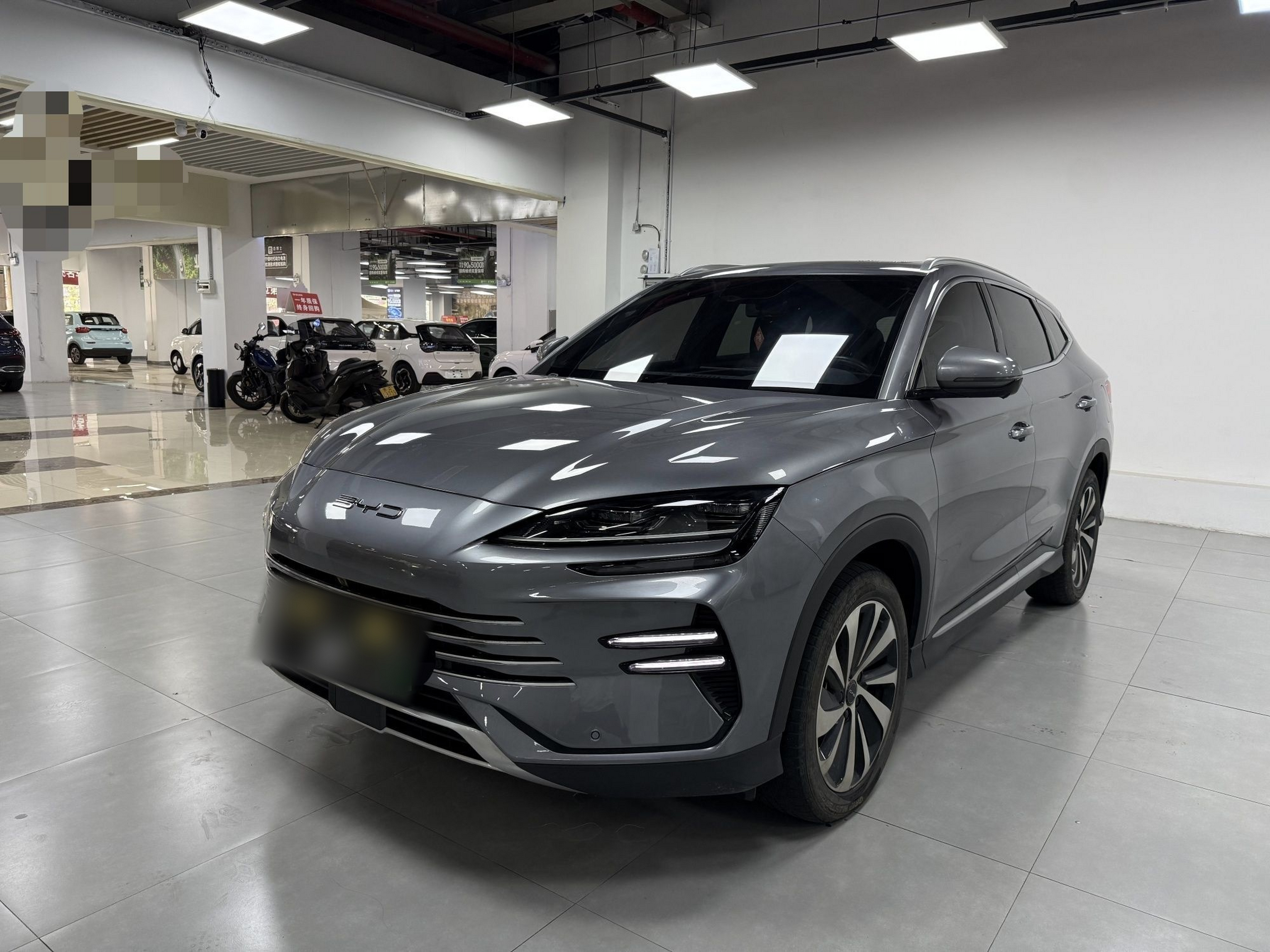 Parte inferior delantera