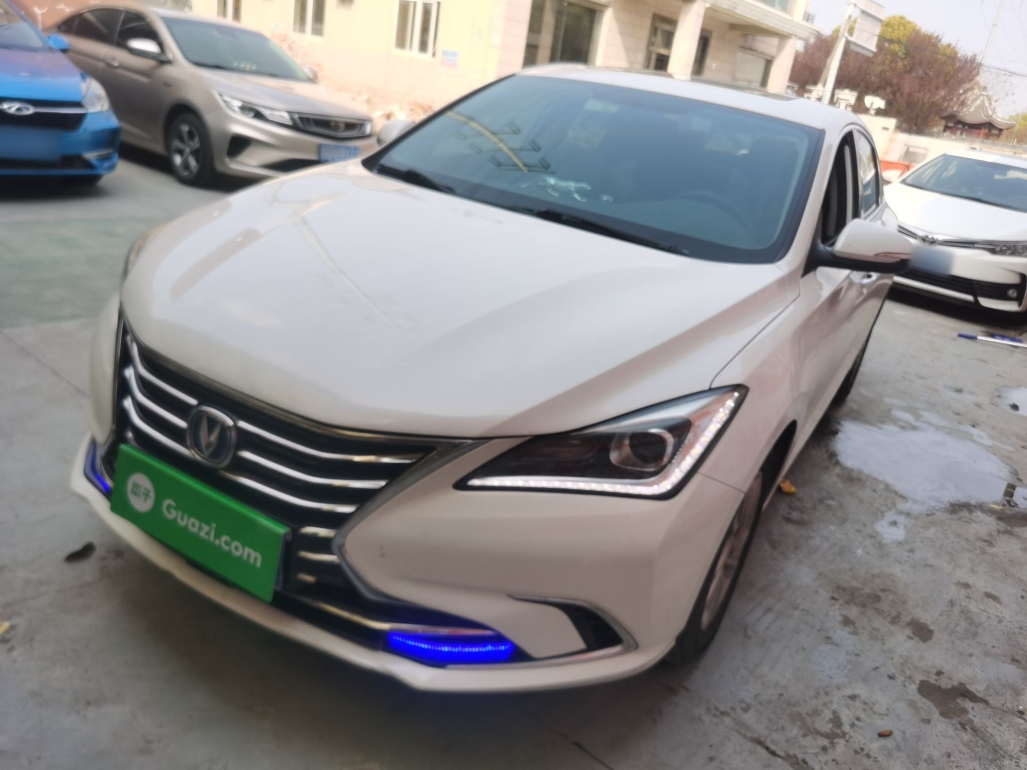 Parte inferior delantera