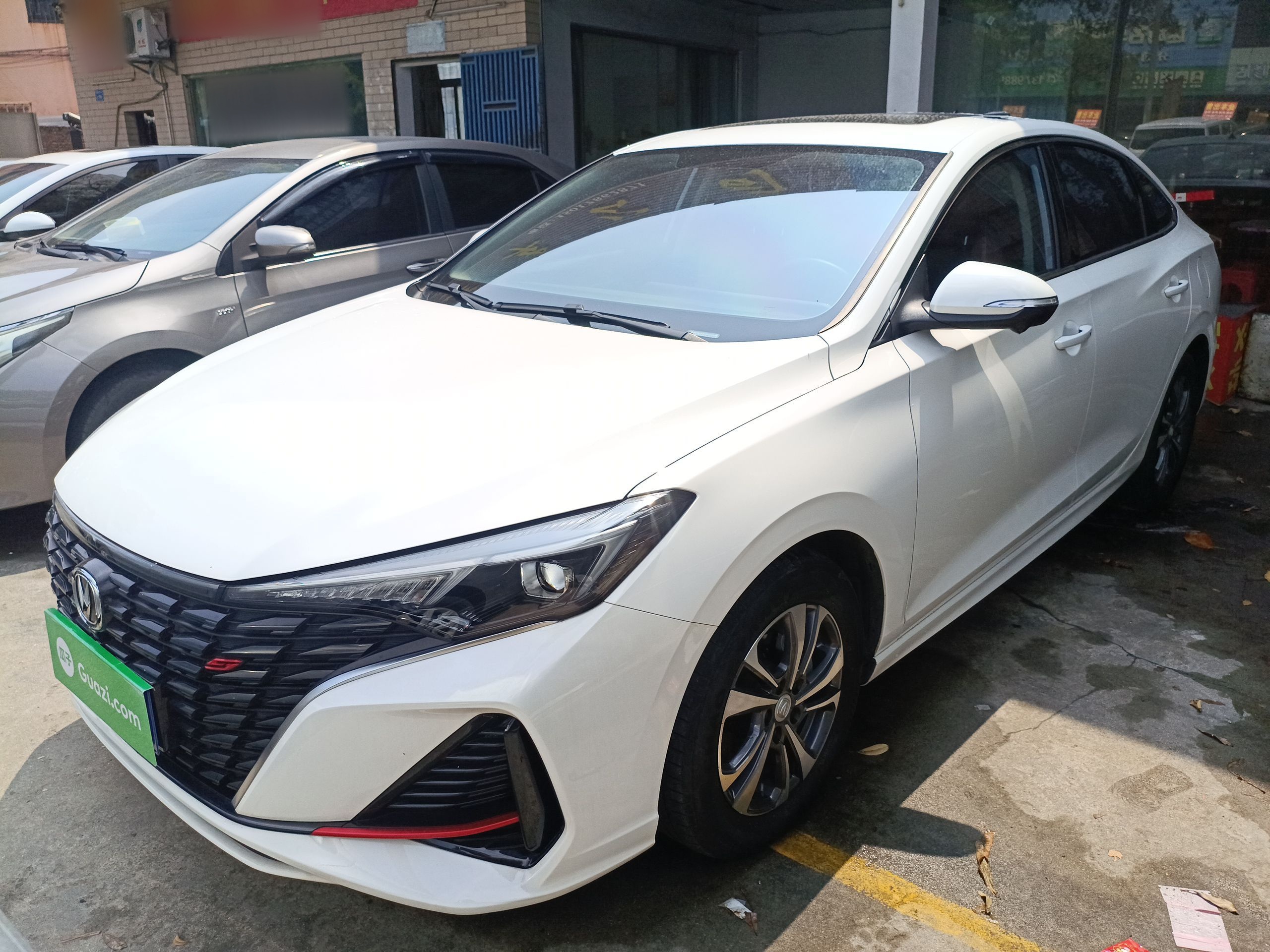 Parte inferior delantera