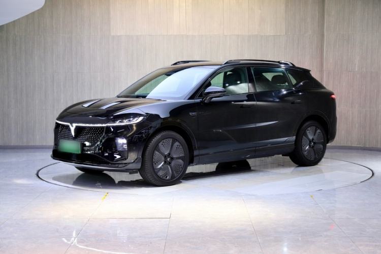 Used VOYAH COURAGE 2024 Four-Wheel Drive Global Edition