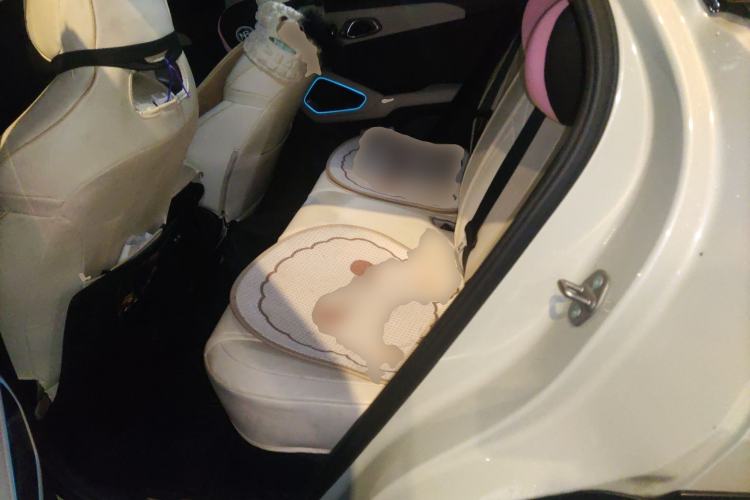 Used BYD Yuan UP 2024 401KM Beyond Edition Left Rear Seat