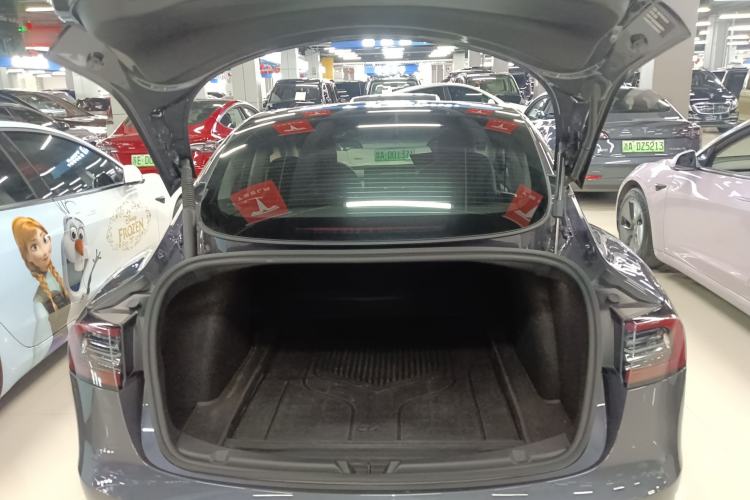 Used Tesla Model 3 2021 Revised Version II – Performance High-Performance All-Wheel-Drive Edition