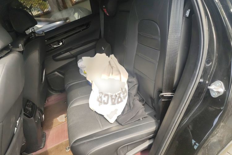 Used Honda CR-V New Energy 2023 2.0L ePHEV Luxury Edition
