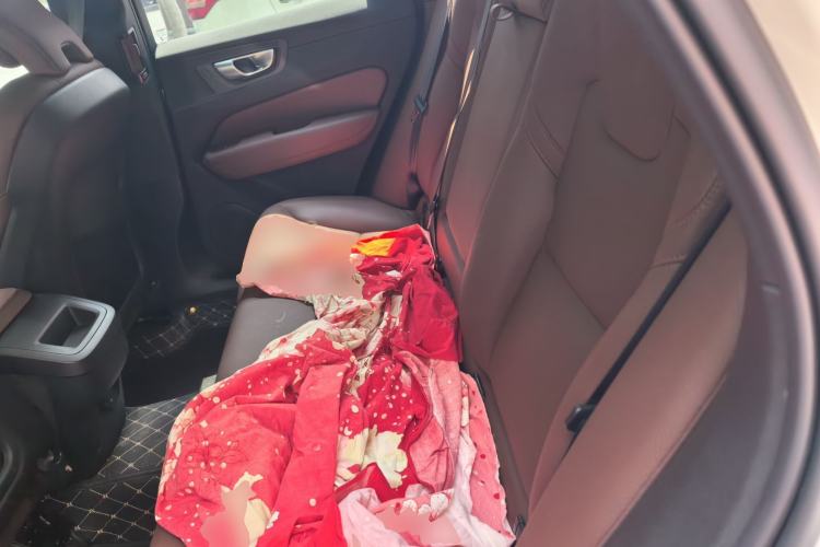 Used Volvo XC60 2024 B5 4x4 Smart Luxury Edition Left Rear Seat