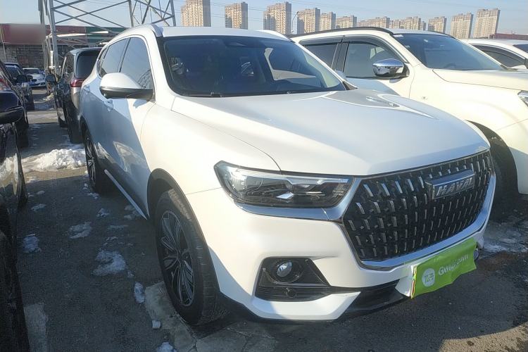 Used Haval H6 2023 National Trend Edition 1.5T Automatic Champion Version