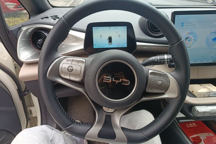 Used BYD Dolphin 2025 420km Free Edition
