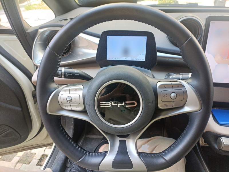 Used BYD Dolphin 2023 420 km Fashion Edition — 6