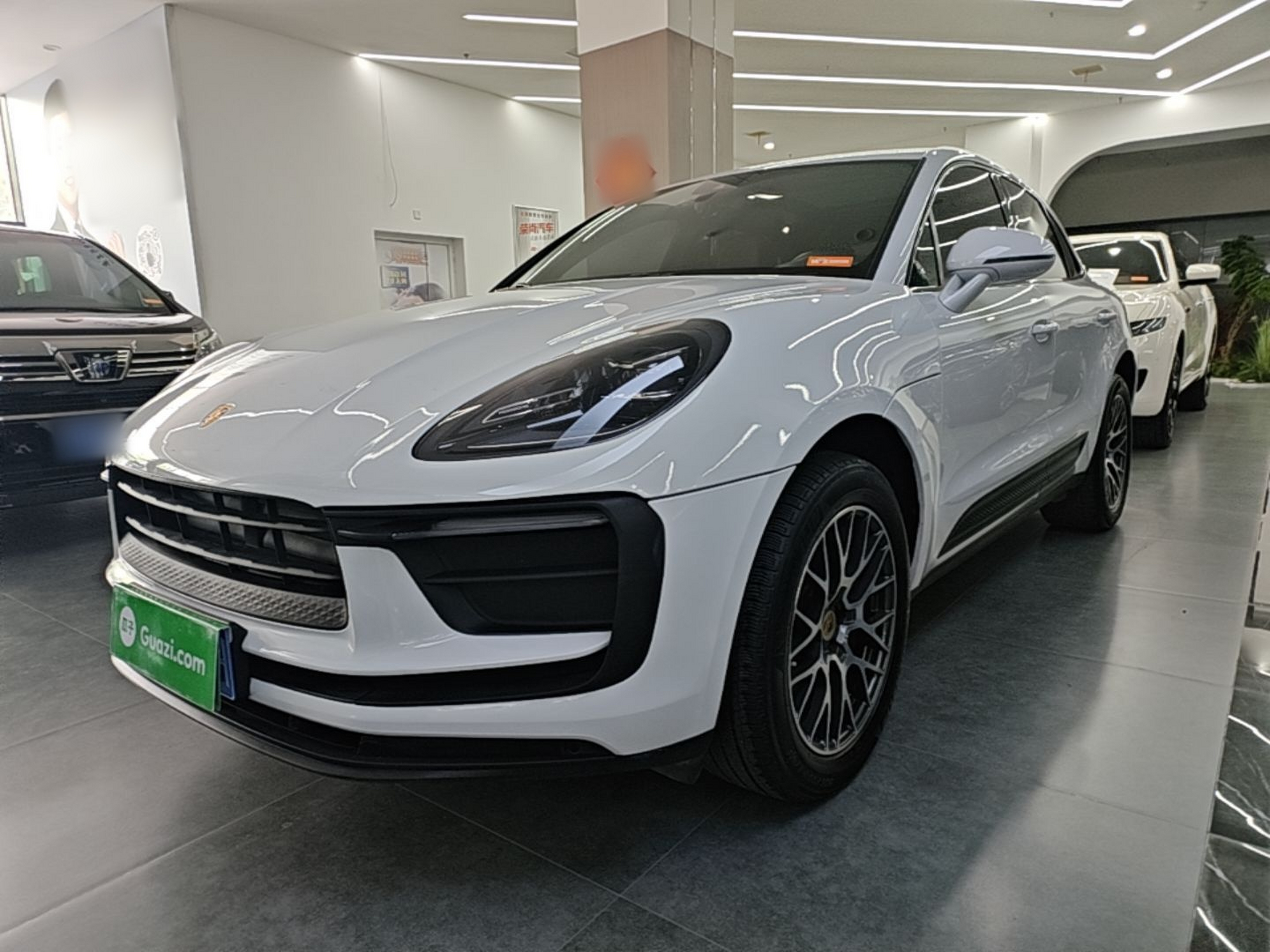 Parte inferior delantera