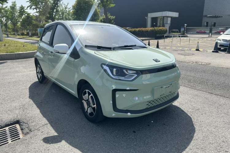 Used SOL E10X 2022 Flower Fairy Style Baby's Breath