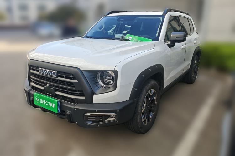 Used Haval DARGO 2024 2.0T DCT Chinese Rural Dog Edition